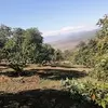 Jorge Luis Baltaz136 - @jorgeluisbaltazar19 - TikTok