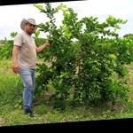 jorge Bárcenas - @barcenas7874 - Instagram