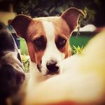 Eduardo Rodrigues - @jorge_bartolome_ - Instagram