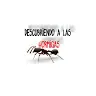 jorge bennetts - @jorgebennetts - TikTok
