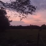 Jorge Hernan Polanco Borrero - @polancoborrero - Instagram