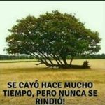 jorge burke - @burke.jorge - Instagram