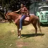 Jorge Calixto - @jorgecalixto00 - TikTok
