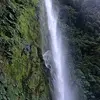 Jorge Camus - @jorge.camus4 - TikTok