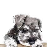 Jorge Casiano - @jc2260 - Instagram