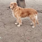 Jorge Caudillo - @caudi13 - Instagram