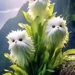 Oscar Jorge Cejas - Facebook