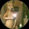 jorgecelorio101 - @jorgefrancisco169 - TikTok