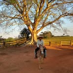 Jorge Chao - Facebook
