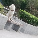 @jorgechao2020 - Instagram