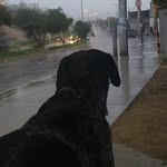 Coqui Clmt Gomez - @jorgeclemente3 - Instagram