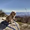 Jorge Colin - @jorge.colin72 - TikTok