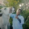 Jorge Collier - @jorge.collier - TikTok