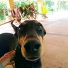 Jorge CossyLeon - @jorgecossyleo._ - TikTok