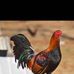 Jorge Cossio - Facebook