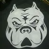 jorgecossio48 - @jorge.cossio6 - TikTok