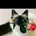 Jorge cuenca - Facebook