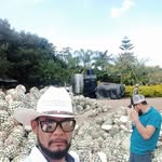 Jorge Devora - @jorge.devora.31 - Instagram