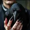 Jorge Espino - @jb728266 - TikTok