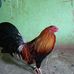 Jorge Fabian - Facebook