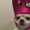 Jorge Fabián - @mariaelenaacuapaj - TikTok