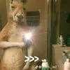 jorgefabian81 - @jorge.fabian23 - TikTok