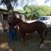 Jorge Favela - Facebook
