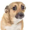 Jorge Martínez - @jorge_fields - TikTok