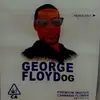 George Floyd - @jorgefloydog - TikTok