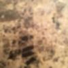 jorge.becford - @jorge.becford - TikTok
