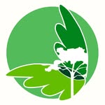Jorge Greene - @greeneporelbosque - Instagram