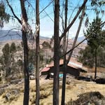 COCO RODRIGUEZ - @jorgeherbert3128 - Instagram