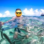 𝑯𝒆𝒓𝒃𝒆𝒓𝒕 𝑭𝒊𝒍𝒉𝒐 - @jorge.herbert - Instagram