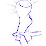 Jorge Herbert - @jorge_herbert - TikTok