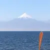 jorge inclan - @jorge.inclan8 - TikTok