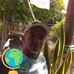 Jorge Félix Isla Darias - Facebook