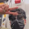 Jorg.paredes - @jorge.isla - TikTok
