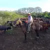 Jorge Jordan - @jorge.jordan141 - TikTok