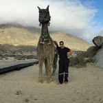 Jorge Langer Goycoolea - @jorgelangergoyc - Instagram