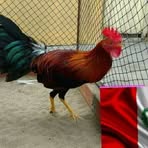 Jorge Larco - Facebook
