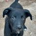 Jorge Lepe - Facebook