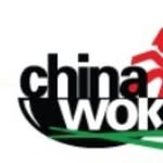 comida al wok - @jorge.levanocastillo - Instagram