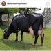 Jorge Lara - Facebook