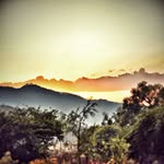 Jorge Luera - @surveygeorgesays - Instagram