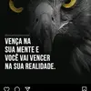 @jorgemaciel - @jorgemaciel2022 - TikTok