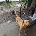 Jorge Marques - Facebook
