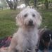 Jorge McKenzie - Facebook