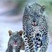 Jorge Monreal - Facebook