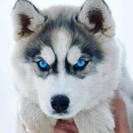 Jorge Moore - @jorge_mo_or_e - Instagram