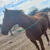 Jorge morel - @jorge.morel7704 - TikTok